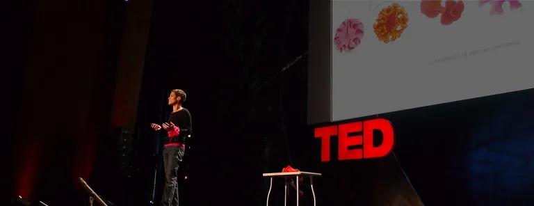 Top 5 Most Inspiring TED Talks of 2018