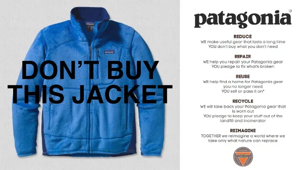 Patagonia core values